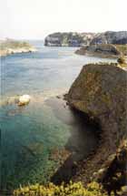 cabo negro